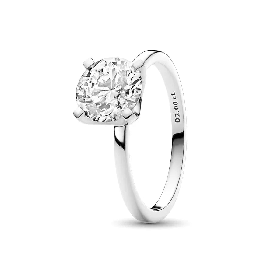 Sterling Silver Zircon Ring Set | Butterfly Snowflake Rose Design